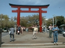 Wakamiya Strasse in Kamakura