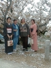 Kyoto - Kiyomizu-Tempel (4)
