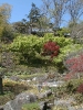 Hase-kanon Tempel (2)
