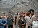 Neue Messe Leipzig (2)
