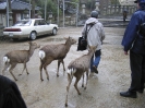 2004 - Japan_20