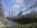 2004 - Japan_49
