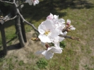 2004 - Japan_91