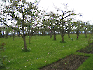 Bergkirchen_16