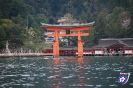 Torii - 鳥居