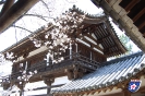 Nara, Hōryū-ji - 奈良市, 法隆寺