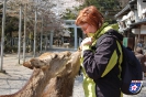 Rehe