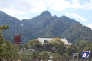 Miyajima - 宮島