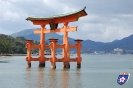 Torii - 鳥居