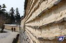 Nara - 奈良市