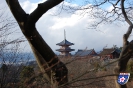 Kiyomizu-dera Tempel - 清水寺
