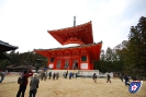 Kōya-san - 高野山