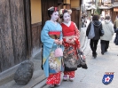 Maiko - 舞妓