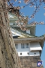 Schloß Osaka - 大阪城