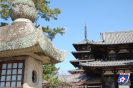 Nara, Hōryū-ji - 奈良市, 法隆寺