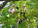 Vienenburg + Goslar_88