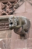 Freiburg im Breisgau