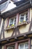 Colmar