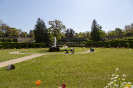 Würzburg - Residenz / Hofgarten