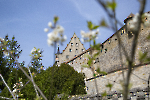 Veste Coburg_7