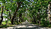 Dachau_13