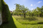 Dachau_9